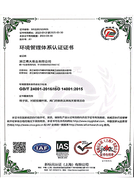 环境管理体系认证证书-浙江博大泵业有限公司